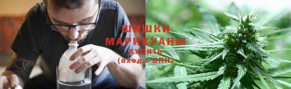 амф Осинники