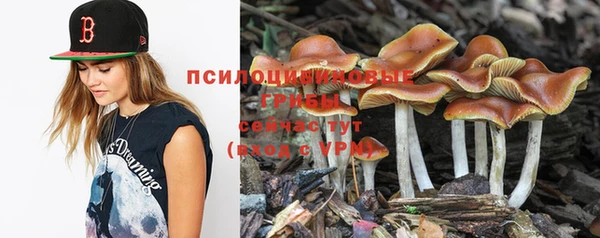 амф Бутурлиновка