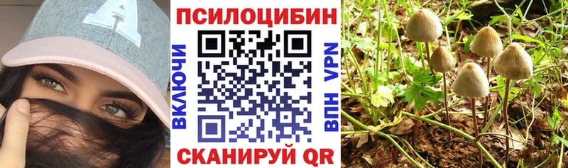 Псилоцибиновые грибы Psilocybe  omg маркетплейс  Кола 